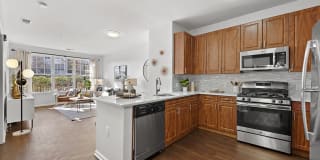 Sofi Lyndhurst Gallery 2