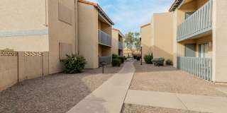 Corona Del Sol Gallery 21