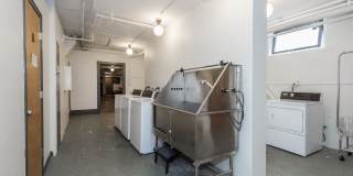 The Wolcott Gallery 11