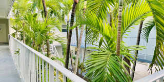 Newly Renovated Units Available Now! Gallery 5