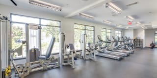 Windsor at Maxwell's Green Gallery 9