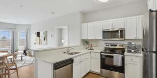 Canton Woods Gallery 2