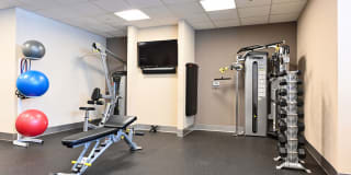 The Stories Gallery 33