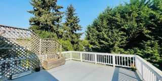 Massive House with Elegant Finishes in Madison Valley! Gallery 23