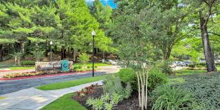 Columbia Glade Gallery 45