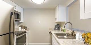 Silver Palms Gallery 14