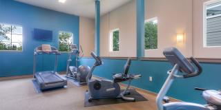 Seasons at Lea Hill Gallery 12