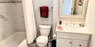 SHORT TERM TURNKEY FURNISHED DOWNTOWN AT THE RENAISSANCE Gallery 18