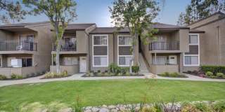 Park Pointe Gallery 31