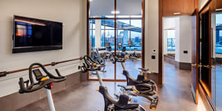 Avalon 555 President Gallery 26