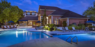 Lake Clearwater Gallery 31