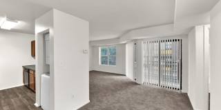 Geno Baroni Gallery 5