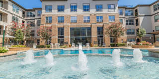 Auxo at Memorial Gallery 17