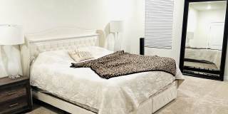 8654 Bower Bass Circle Gallery 4