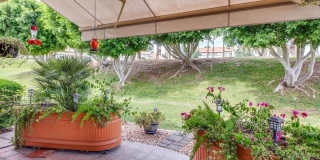 474 Evergreen Ash Gallery 20