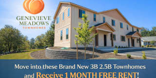 Genevieve Meadows Gallery 1