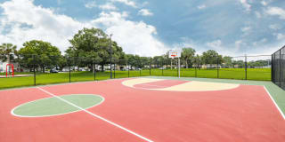 MacAlpine Place Gallery 42