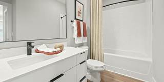 The Scottie Gallery 11