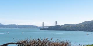 36 Eucalyptus Road Gallery 10