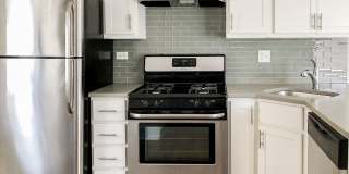 5158-62 N Leavitt / 2209-11 W Foster Gallery 6