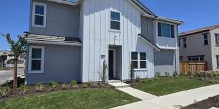 3217 Shrute Drive Gallery 1