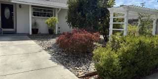 1470 Branham Lane Gallery 1