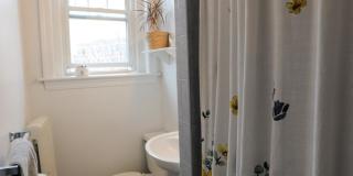 164 Strathmore Rd. Gallery 8