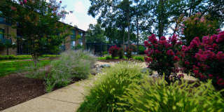 Franklin Park at Greenbelt Station Gallery 10