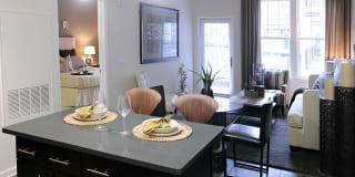 The Allure Mineola Gallery 5