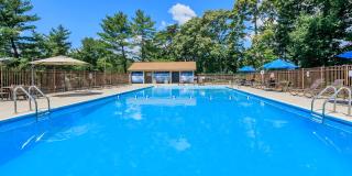 The Pines of Roanoke The Pines of Roanoke Gallery 1