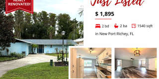 12131 Lacey Drive Gallery 1