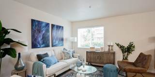 Millennium Park Gallery 13