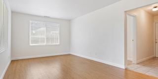 99 First Street Gallery 5