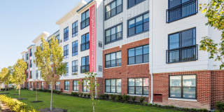 Hedges at Hawthorne Gallery 7