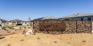 Vello Valley Gallery 25