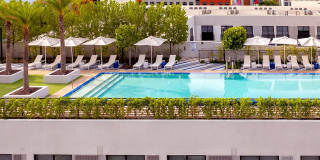 Sentral Wynwood Gallery 21