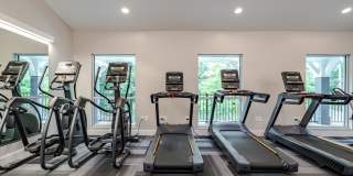 Aster at the Summit Gallery 21