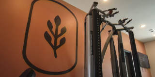 Sage North Gallery 28