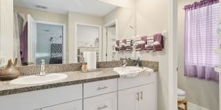 5256 White Chicory Drive Gallery 8