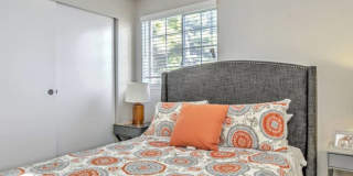Windsor Apartments Gallery 7