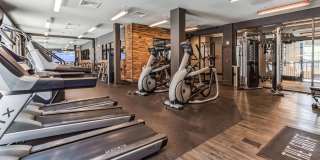 The Griff Gallery 26