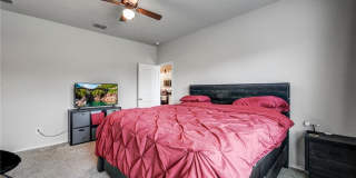 849 Gerardia Court Gallery 15