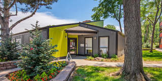 The Modern Gallery 65