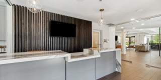 Sofi Lyndhurst Gallery 31