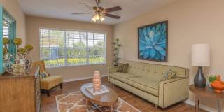 Grove at SouthShore Gallery 25