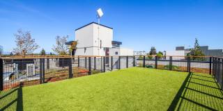 JG Whittier Gallery 33