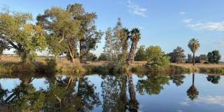 4790 Discovery Point Gallery 23