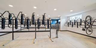 The Fitzroy Gallery 32