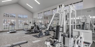 Renaissance Gallery 14