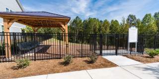 Amavi Brier Creek Gallery 8